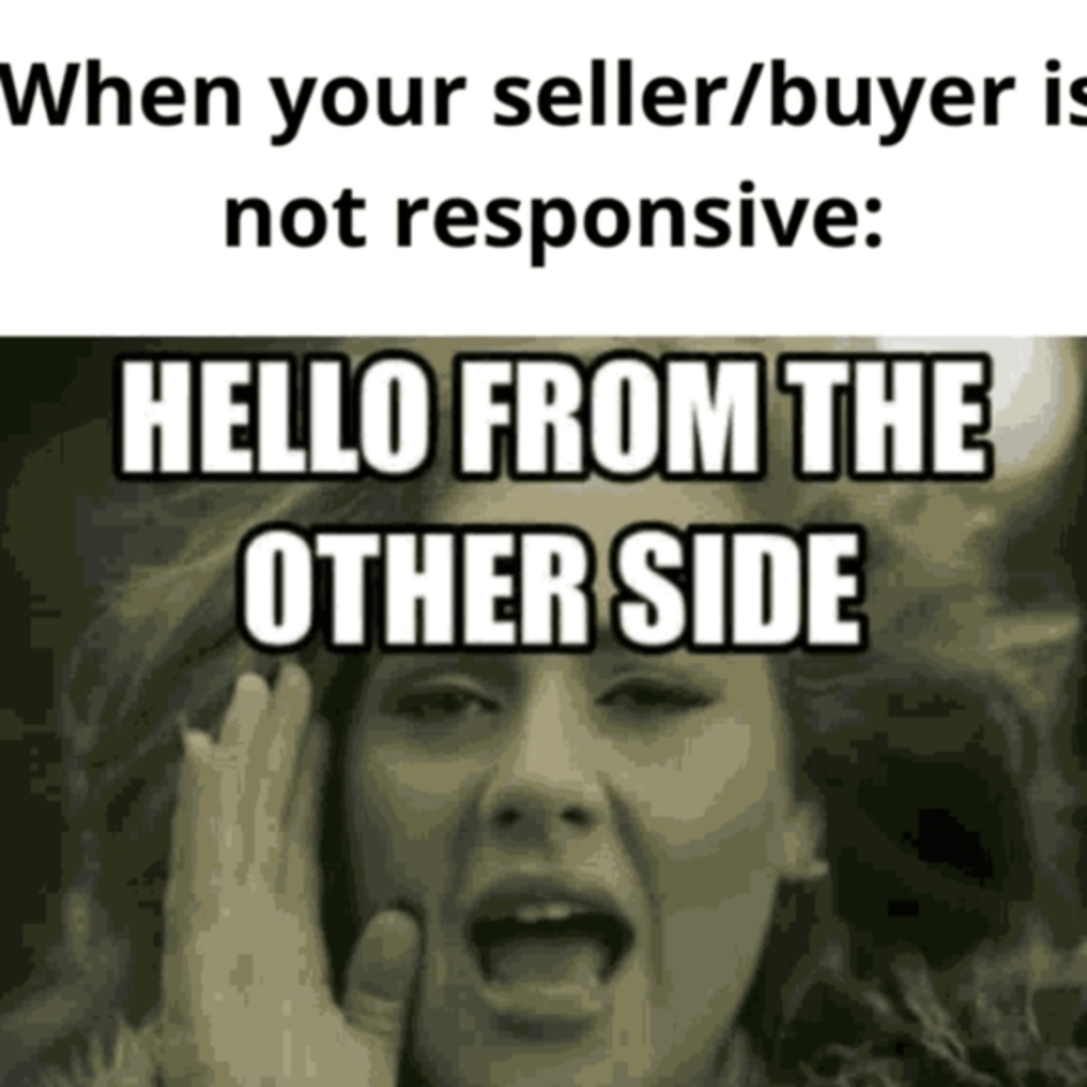 🗣️ Hellllooo from the other sideee